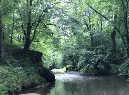 Rock Creek Village