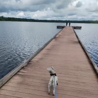 Jones Lake State Park Campground ico