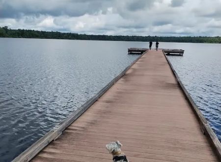 Jones Lake State Park Campground