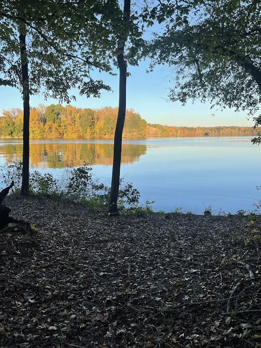Lakeside RV Park Picture 7
