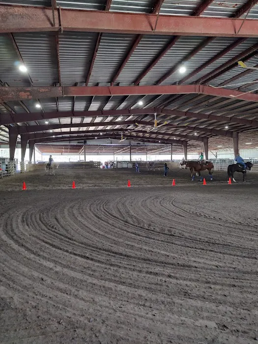 5K Arena Picture 2