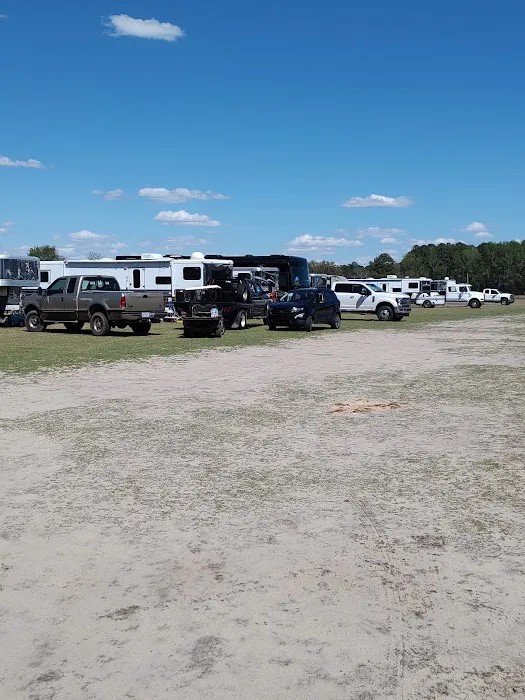 5K Arena Picture 7