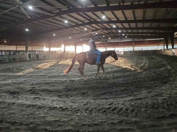 5K Arena Picture 3