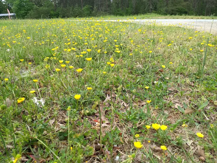 Twin Oaks Mobile Home Park Picture 1