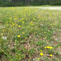 Twin Oaks Mobile Home Park ico