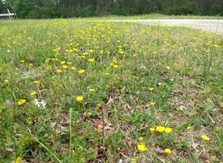 Twin Oaks Mobile Home Park