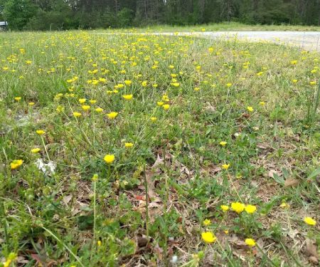 Twin Oaks Mobile Home Park
