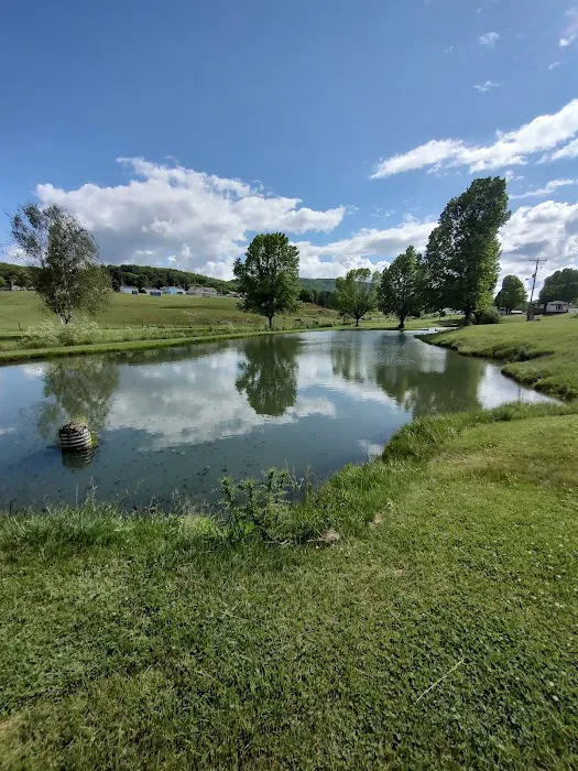 Fort Chiswell RV Park Picture 3
