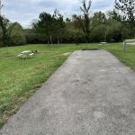 Campsite 197 (Electric Only)