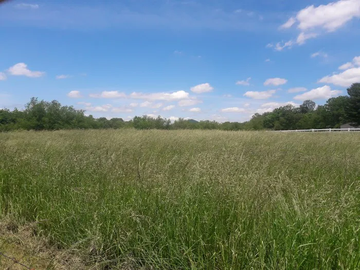 Wythe Mobile Home Park- Twin State Picture 1