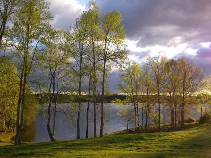 Lake Robinson RV Park Picture 4