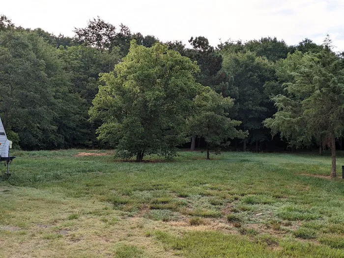 Southern Shade RV Park Picture 7