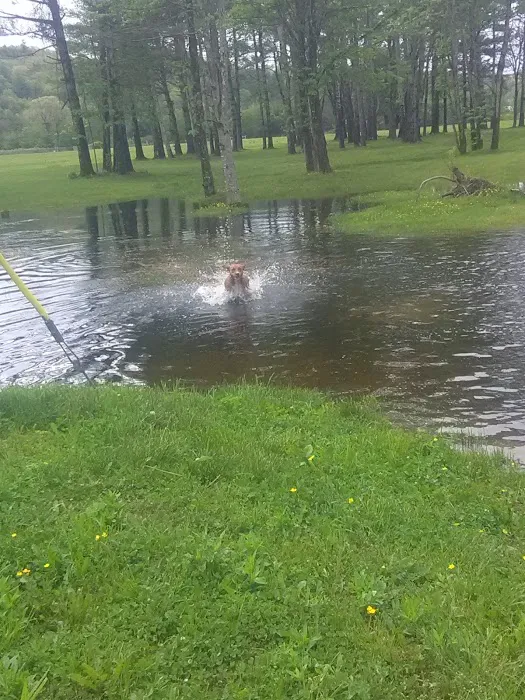 Happy Newland Park Picture 4