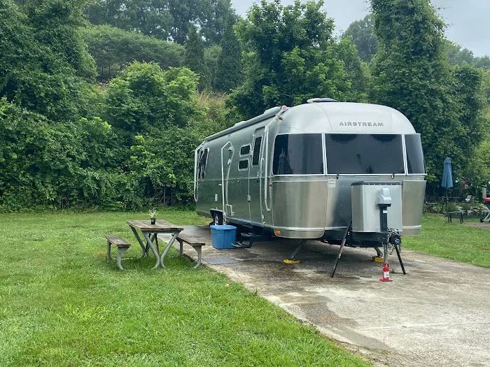 Wilson's Riverfront RV Park Picture 10