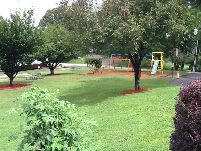 Asheville Bear Creek RV Park Picture 9