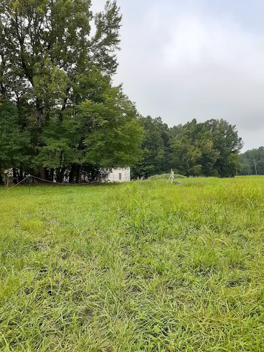 Village Mobile Home Park Picture 7