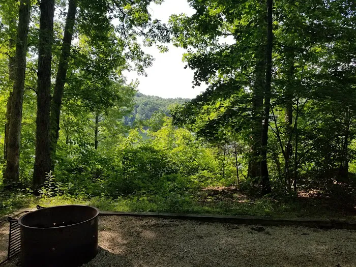 Boat Gunnel Group Campground Picture 3