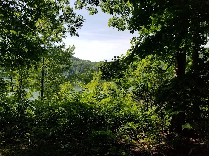 Boat Gunnel Group Campground Picture 6