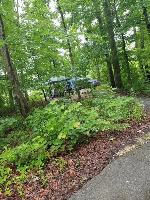 Boat Gunnel Group Campground Picture 9