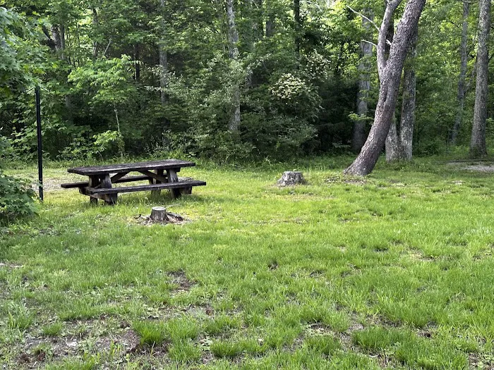 Twin Knobs Campground Picture 3
