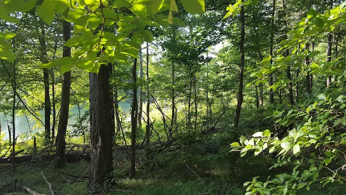 Twin Knobs Campground Picture 8