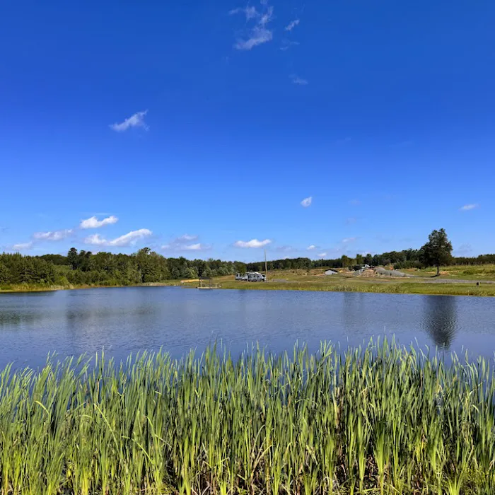 Loblolly Lake RV Park Picture 3