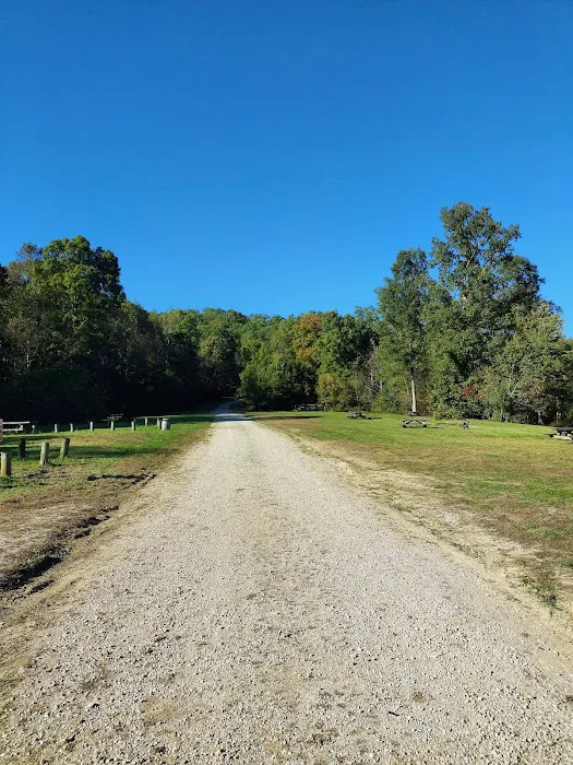 White Sulphur Horse Camp Picture 4