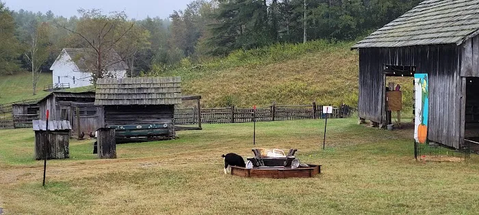 Paintsville Lake Campground Picture 4