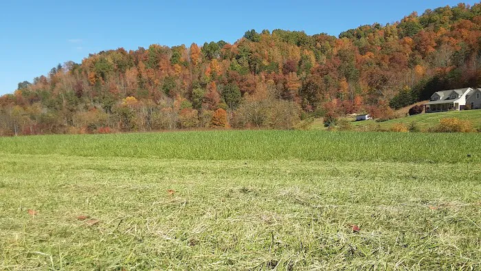 Apple Jack Creekside Camping Picture 2