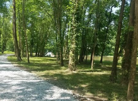 Lawrence Creek Campground