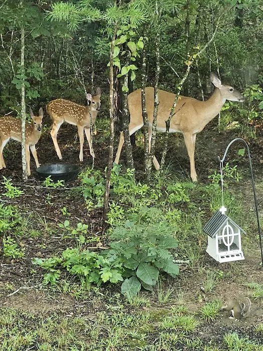 Turkey Trail RV Park Picture 1