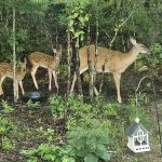 Turkey Trail RV Park