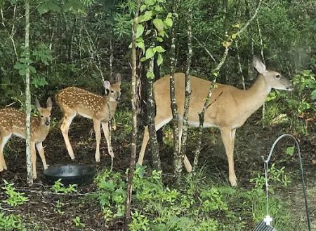 Turkey Trail RV Park