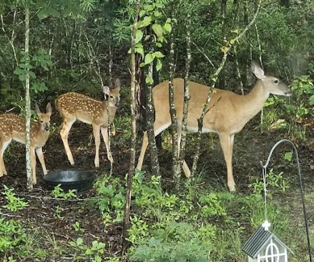 Turkey Trail RV Park