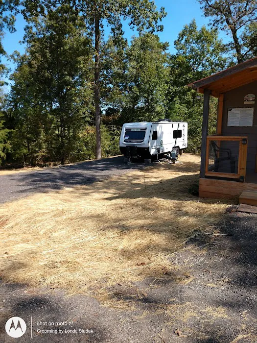 Turkey Trail RV Park Picture 5