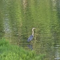 Tara Villa Campground & Marina ico