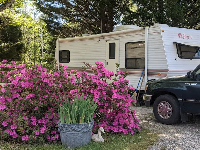 Sugar Lake RV Park (55+ Park) Picture 4