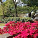 Westgate Mobile Manor Inc