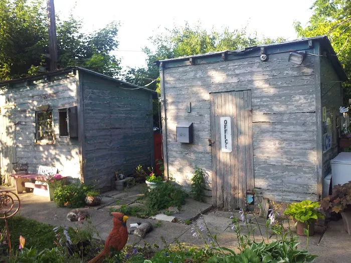 Maple Grove Camp Ground Picture 8