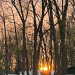 River Raisin Marina & Campground
