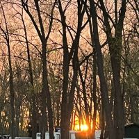 River Raisin Marina & Campground ico