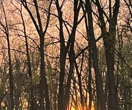 River Raisin Marina & Campground