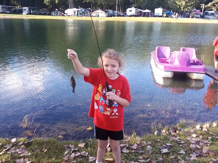 Sunny's Campgrounds Picture 3