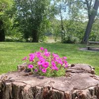 Independence Dam State Park Campground ico