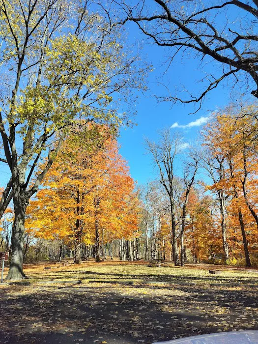 Independence Dam State Park Campground Picture 4