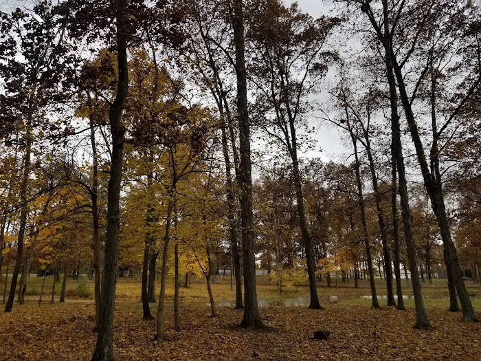 Camp Robin Rogers Picture 4