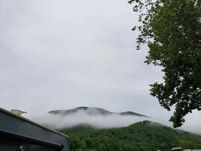 The Hamptons RV Park Picture 9