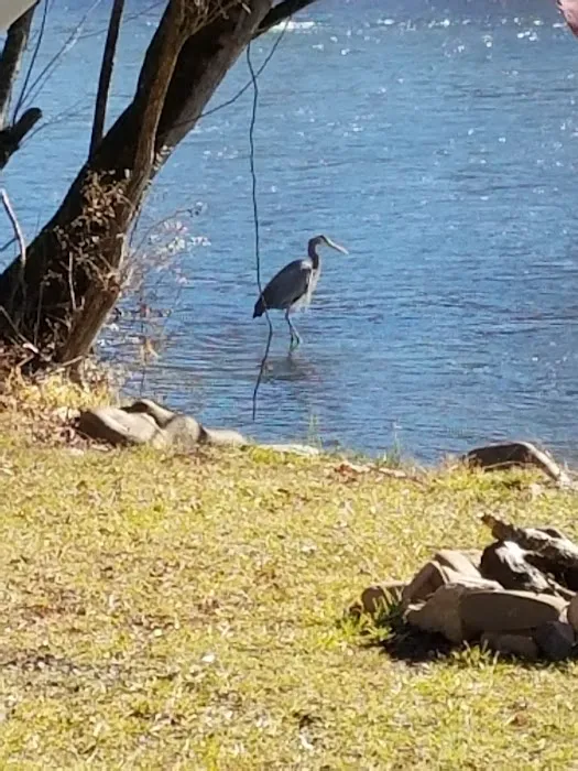 watersedgecampohio.com Picture 2