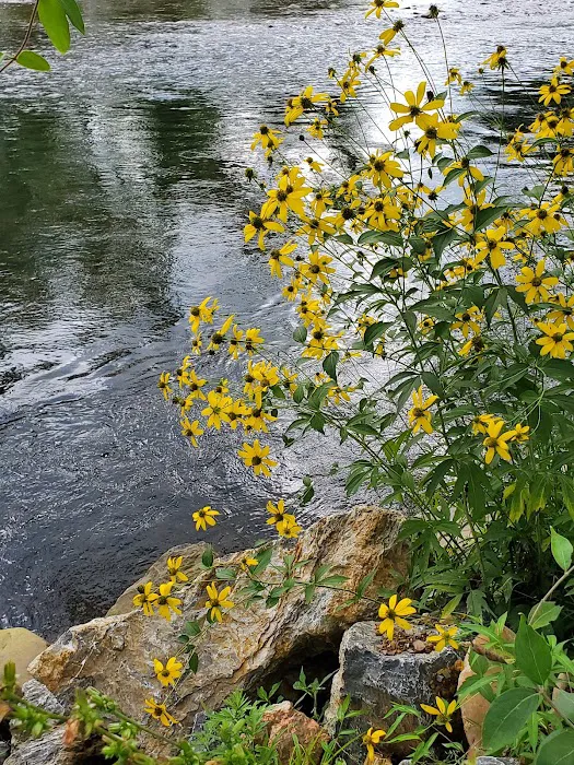 watersedgecampohio.com Picture 7