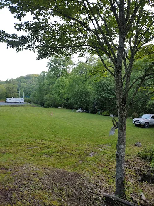 Ron's Carolina Blue sky RV campground Picture 1